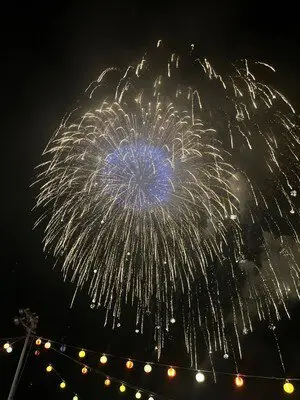 たびら夏まつりシーサイド花火大会 画像(4/4)