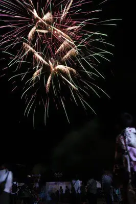 도요노마치 고향 축제