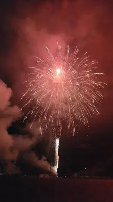 ゑびす夏まつり(盆踊り・花火大会) 画像(3/5)