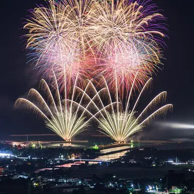 夜空いっぱいに広がる大輪の光と彩り