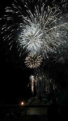 和泊町港まつり 画像(2/3)