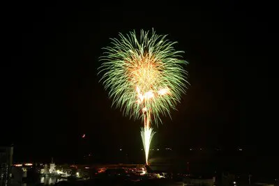 月夜に咲く幻想的な緑の光の華